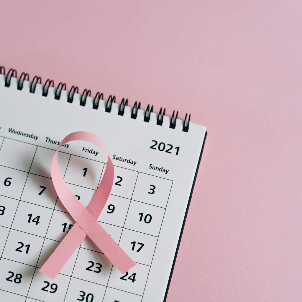 Outubro Rosa: o poder da conexão entre mulher, natureza e cavalos