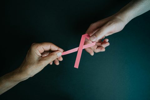 Outubro Rosa: o poder da conexão entre mulher, natureza e cavalos