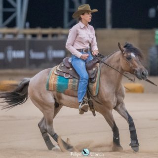 Entre Cavalos e Coragem: o poder da equitação na jornada do autocuidado