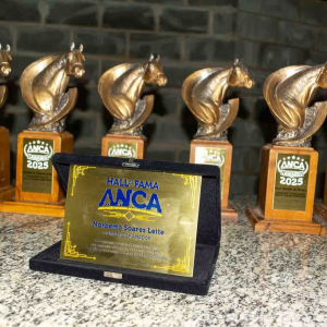 ANCA Awards 2025 celebra os melhores da temporada e homenageia Norberto Soares Leite