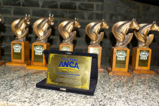 ANCA Awards