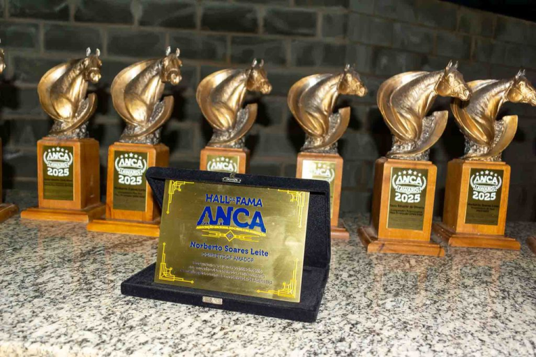 ANCA Awards 2025 celebra os melhores da temporada e homenageia Norberto Soares Leite
