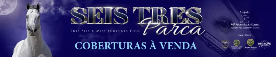 Publicidade