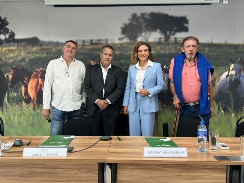 Conselho Fiscal e Conselho de Administração eleitos reforçam compromisso da ABQM com transparência e governança