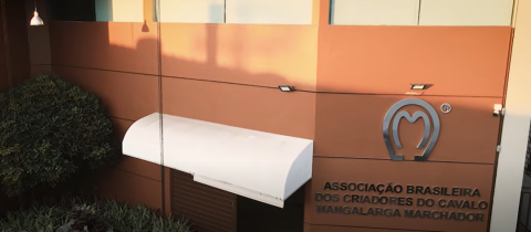 Eleições da ABCCMM definirão futuro do Mangalarga Marchador; votação será em 26 de novembro de 2025