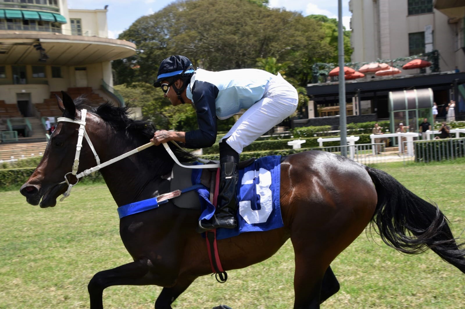 Gaius Rach: herança de campeões brilha no Prêmio Aluísio da Rocha Leão
