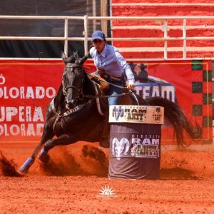 Leilão Geração de Ferro acontece nesta sexta-feira (14) em Jaguariúna (SP)