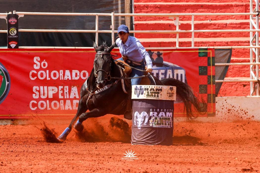 Leilão Geração de Ferro acontece nesta sexta-feira (14) em Jaguariúna (SP)