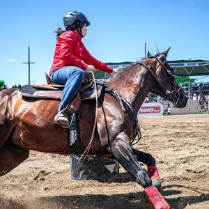 Manejo pós-prova: hidratação, massagem e recuperação muscular para cavalos atletas