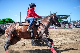 Manejo pós-prova hidratação, massagem e recuperação muscular para cavalos atletas