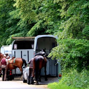 Passaporte Sanitário Equestre moderniza trânsito de equídeos em Minas