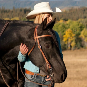 Você sabia que o Spartan, de Heartland, agora é interpretado pelo cavalo de Amber na vida real?