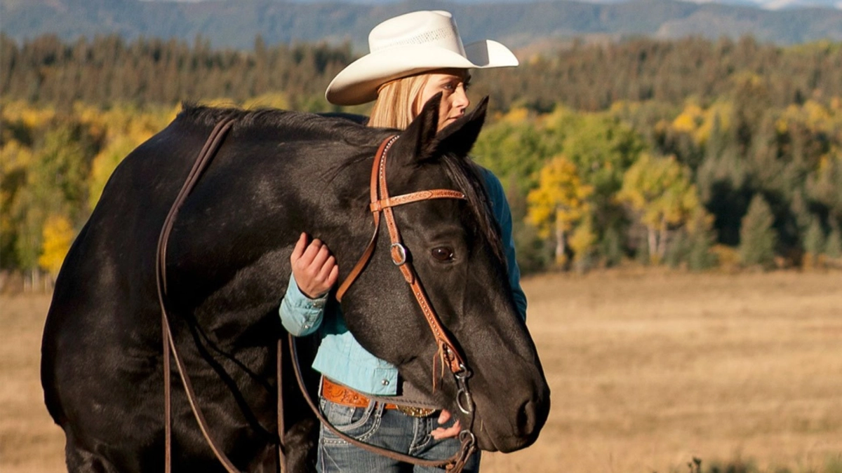 Você sabia que o Spartan, de Heartland, agora é interpretado pelo cavalo de Amber na vida real?