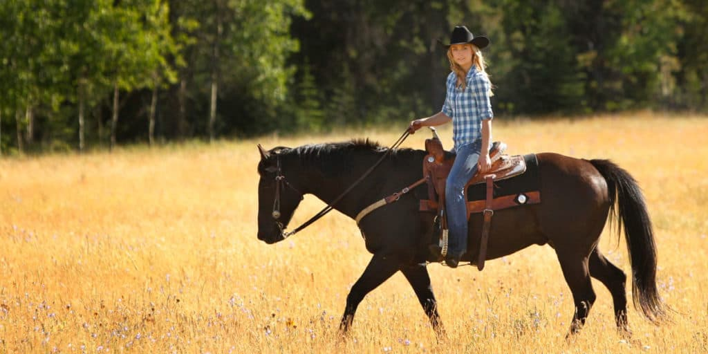 Você sabia que o Spartan da série Heartland agora é interpretado pelo cavalo de Amber Marshall na vida real?