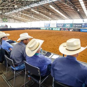 ABQM abre inscrições para curso de habilitação de jurados técnicos de modalidades