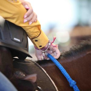 ABQM divulga calendário oficial de eventos para 2027 e 2028