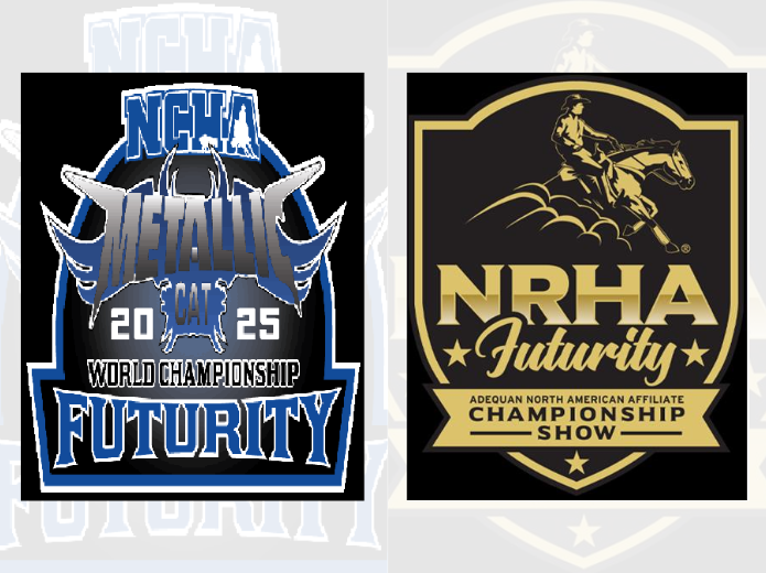 Brasileiros disputam 2 importantes provas de potro do futuro nos EUA