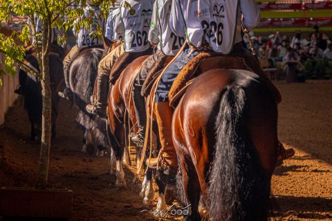 Calendário 2026 do Cavalo Crioulo é divulgado com provas, marchas e classificatórias ao longo do ano