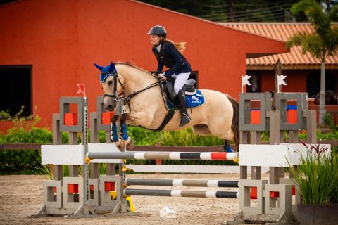 Cavalo Crioulo brilha nas pistas da Copa Nacional de Hipismo em Curitiba