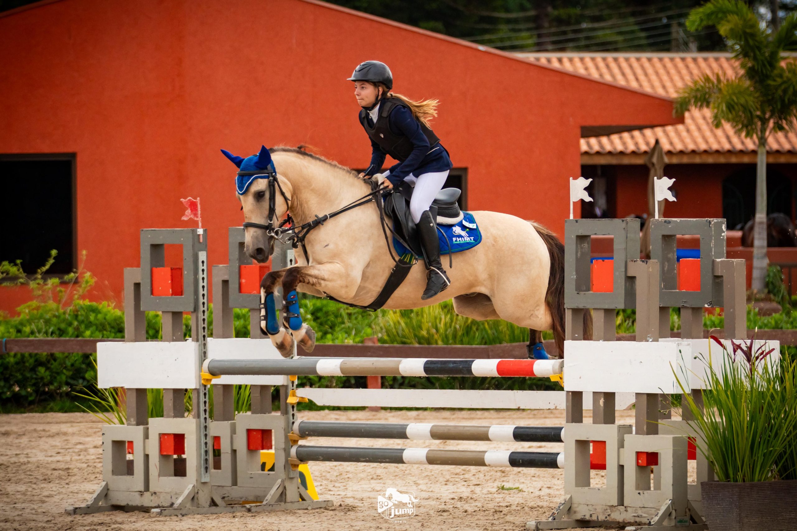 Cavalo Crioulo brilha nas pistas da Copa Nacional de Hipismo em Curitiba