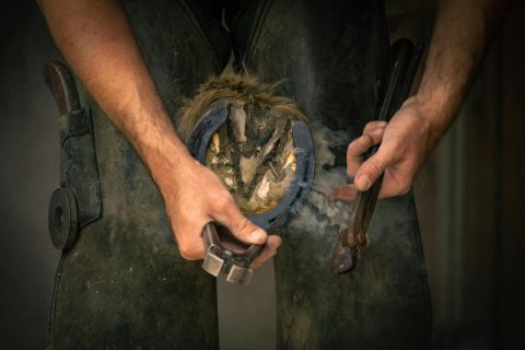 Dia do Ferrador celebra a importância do profissional que garante saúde, bem-estar e performance aos cavalos