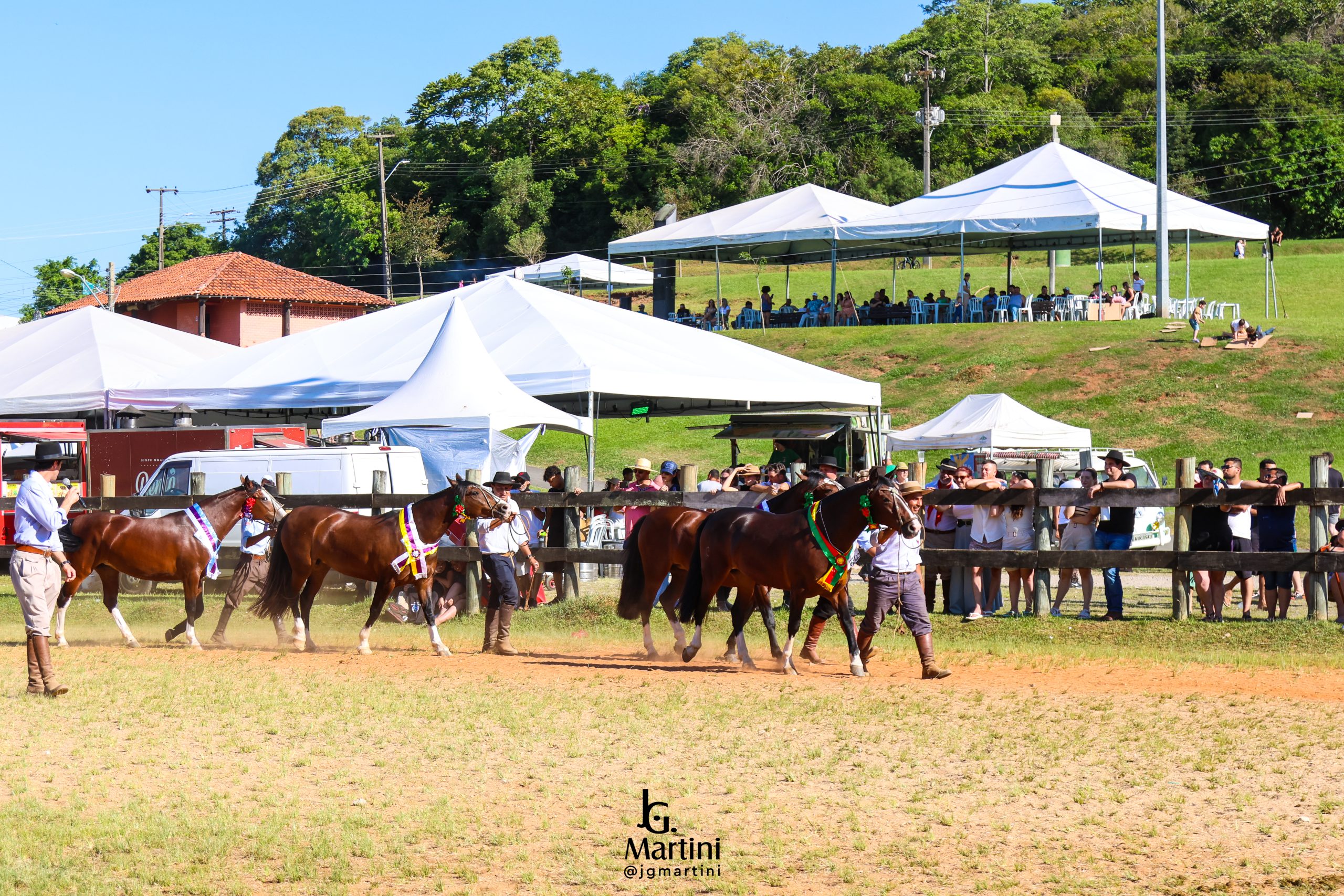 Exposição Morfológica “Cultura e Tradição” marca retomada dos eventos equestres em Curitiba