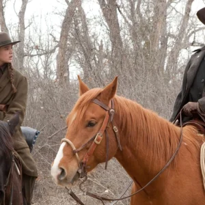 Filmes de faroeste para entrar no clima de Natal