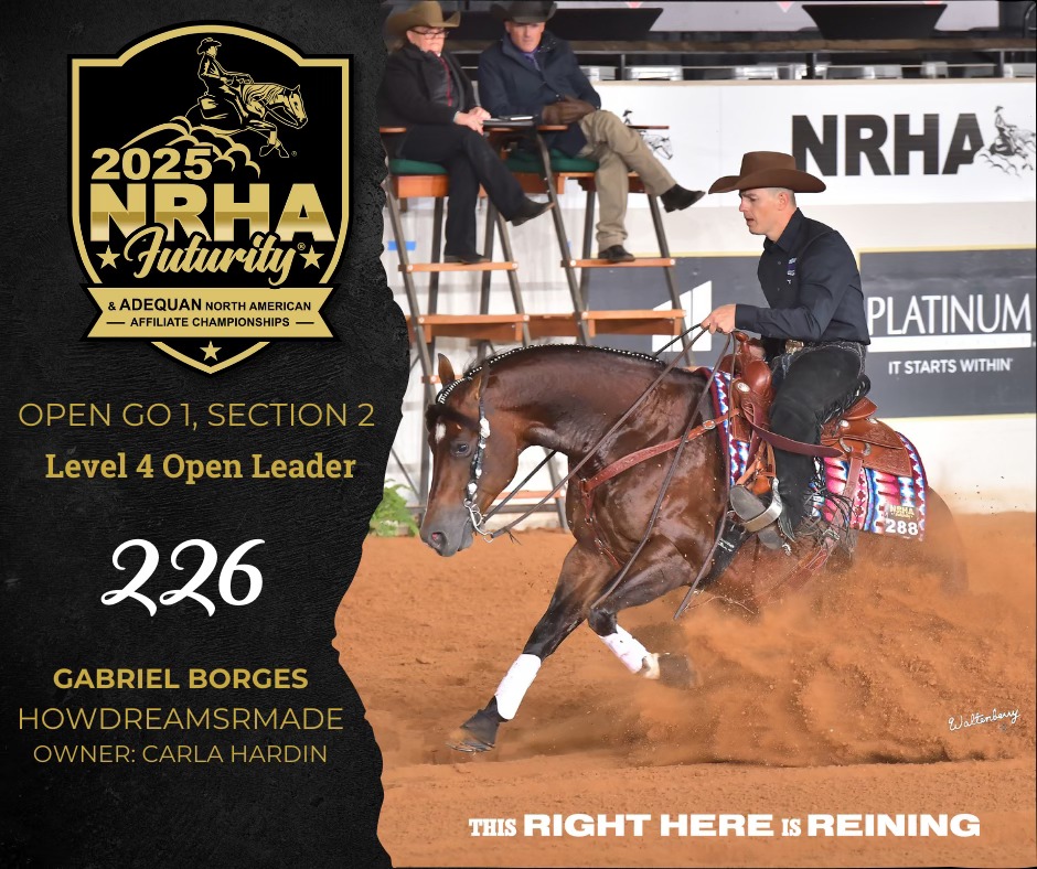 Brasileiros disputam 2 importantes provas de potro do futuro nos EUA