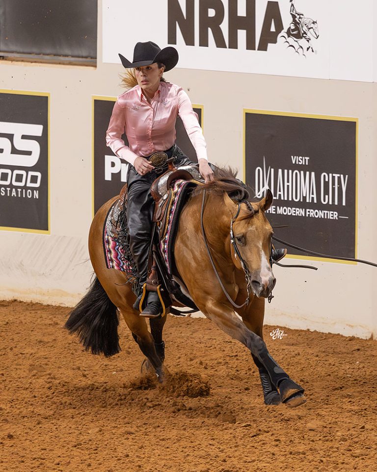 NRHA Maria Luiza Michelin Fagundes e Nyourwildest Dreams 1