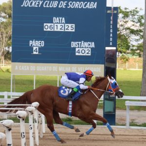 Miss Apolitical Jess confirma favoritismo e vence o GP Consagração – III Tríplice Coroa em Sorocaba