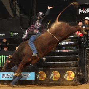 Principal campeonato de Montaria em Touros do mundo estreia nova temporada