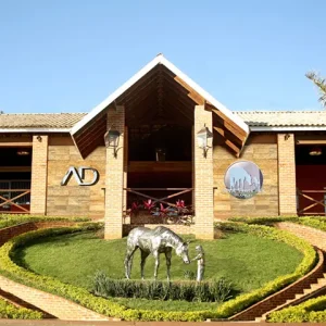 22º Leilão Ana Dantas Ranch Edição Vaquejada movimenta R$ 10,5 milhões e reforça a força da genética funcional