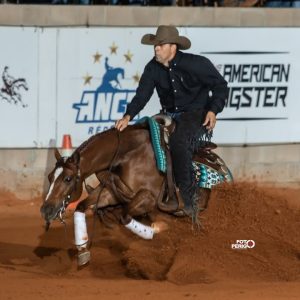 ARCR promove Simpósio de Rédeas inédito no Brasil e abre inscrições para edição 2026