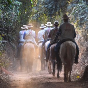Caminhos do Marchador 2026: agenda de etapas é divulgada com início em janeiro