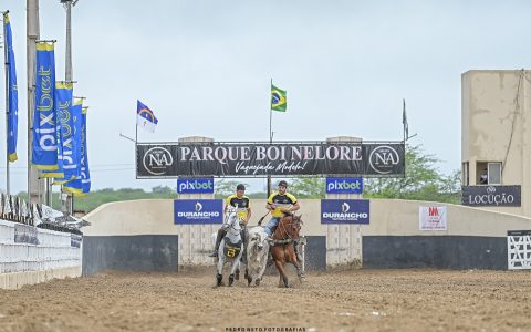 Campeonato Portal Vaquejada vai percorrer 22 parques e projeta temporada histórica