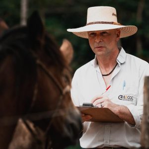 Cavalo Crioulo fortalece projeto de expansão em 2026