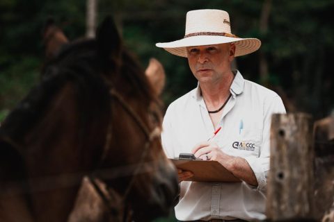 Cavalo Crioulo fortalece projeto de expansão em 2026