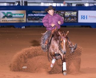 Clínica de Working Cow Horse reúne grandes nomes da modalidade em Avaré