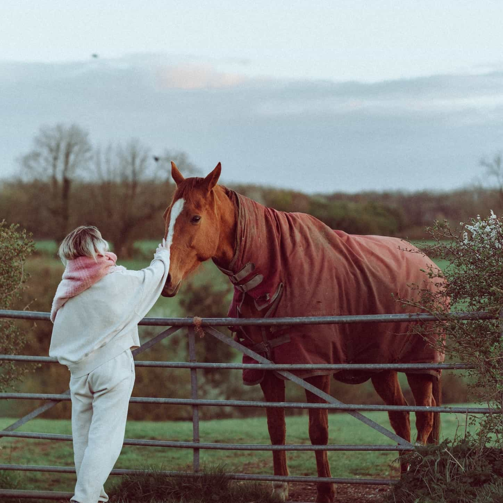 Dia da Gratidão: como você pode retribuir à comunidade equina