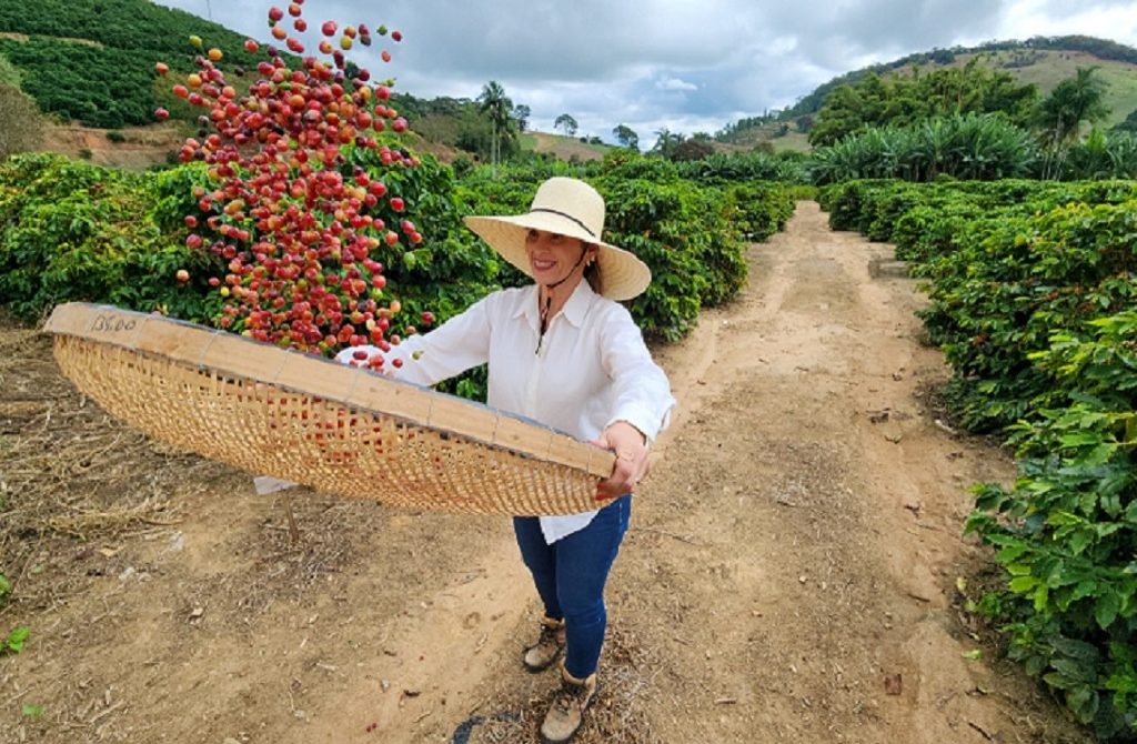 Exportações do agronegócio mineiro alcançam US$ 19,8 bilhões em 2025 e atingem novo recorde