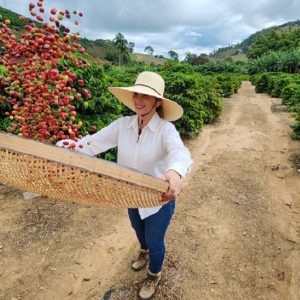 Exportações do agronegócio mineiro alcançam US$ 19,8 bilhões em 2025 e atingem novo recorde