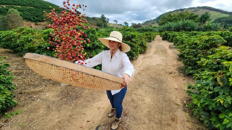 Exportações do agronegócio mineiro alcançam US$ 19,8 bilhões em 2025 e atingem novo recorde