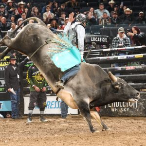 Brasileiro lidera mundial da PBR após 4 etapas