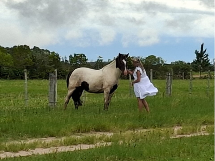 A relação de Mariana Becker com os cavalos é profunda e terapêutica