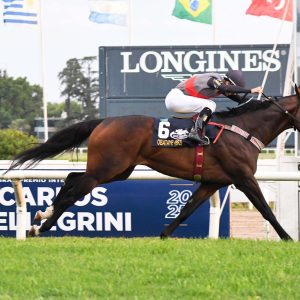 Paixão, dedicação e nutrição transformam haras paranaense em potência do turfe