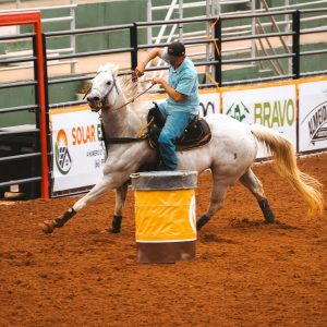 Semana do Cavalo Edição Prime movimenta o agronegócio equestre em março, em Cuiabá