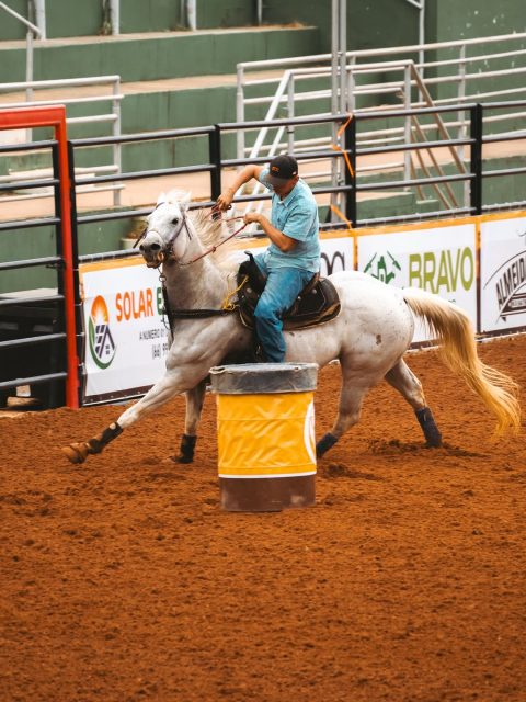 Semana do Cavalo Edição Prime movimenta o agronegócio equestre em março, em Cuiabá