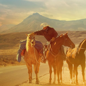 Filme que já ganhou 21 prêmios internacionais está disponível no Youtube