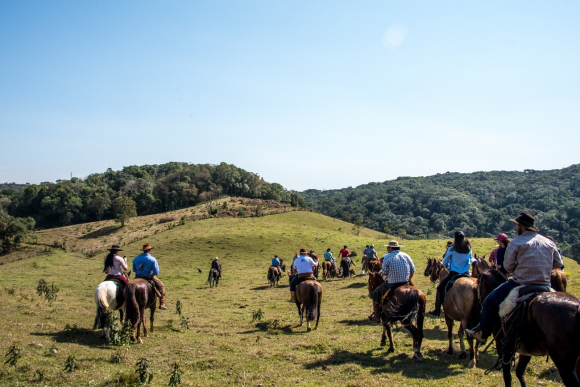 Turismo equestre: desbrave o Brasil a cavalo