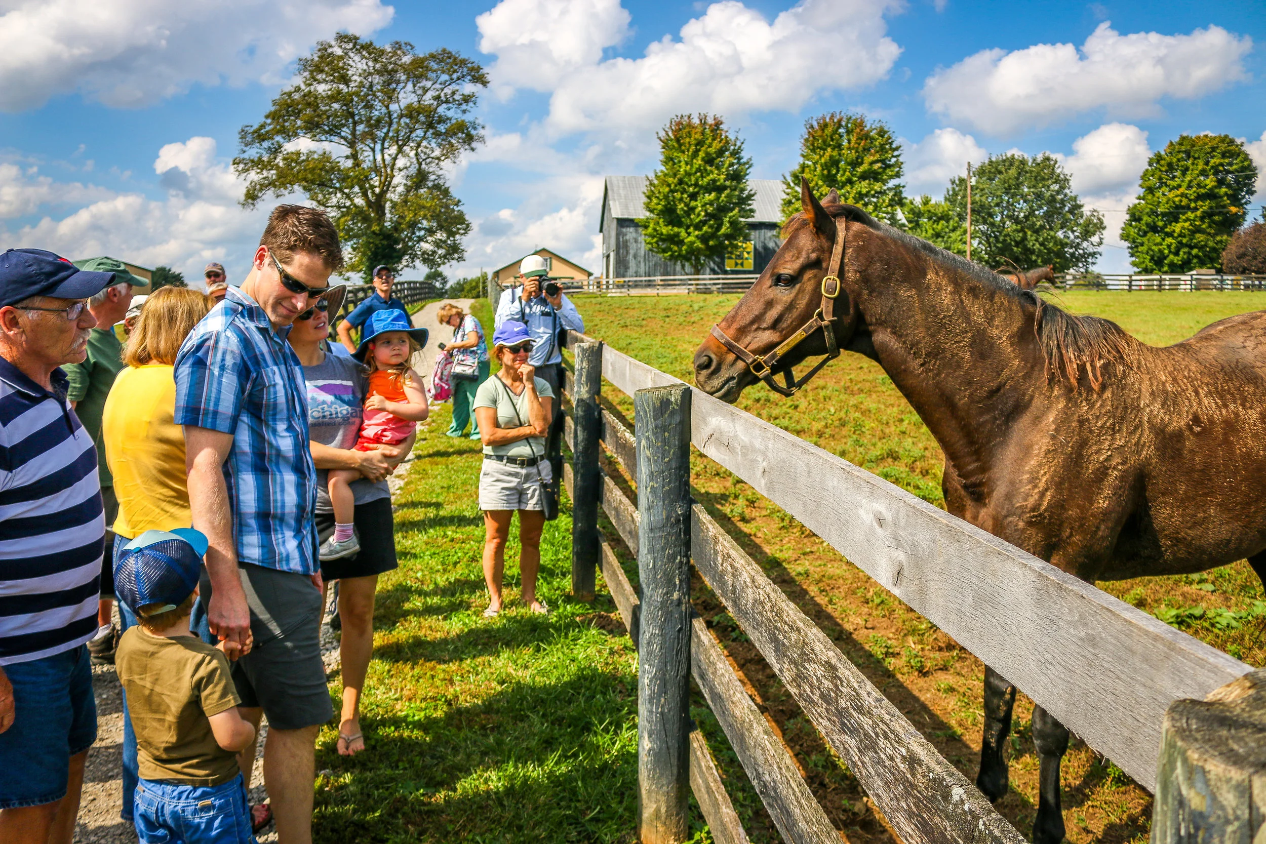 Turismo equestre: desbrave o Brasil a cavalo
